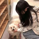 暗黑战域乐易互娱版下载